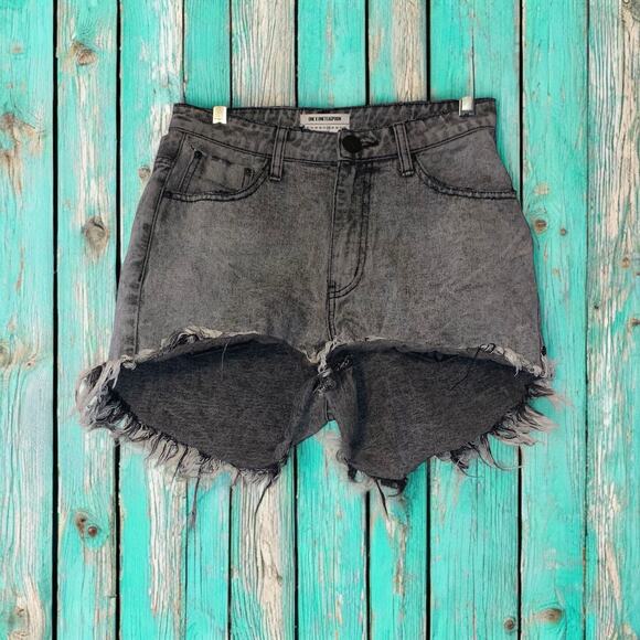 ONE X ONETEASPOON Pants - ONE X ONETEASPOON High Waist Bonita Denim Shorts 28